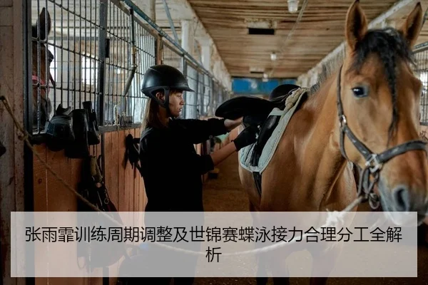 张雨霏训练周期调整及世锦赛蝶泳接力合理分工全解析